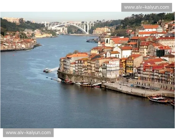 葡酒双雄，风味对决：波尔图与布加的浪漫邂逅